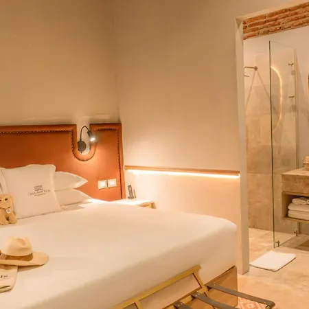 Casa Don Luis By Faranda Boutique, A Member Of Radisson Individuals 5* Cartagena